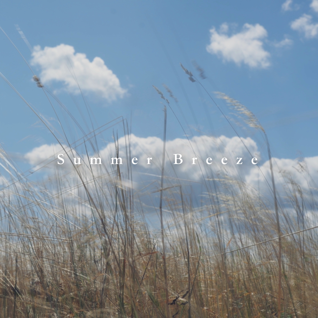 Cover of Piano Single "Summer Breeze" by Hisato Tsuji